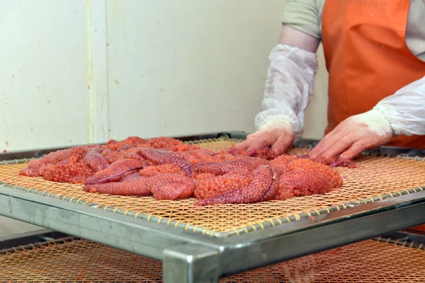 Produktion von Lachskaviar lizenzfreie Stockbilder