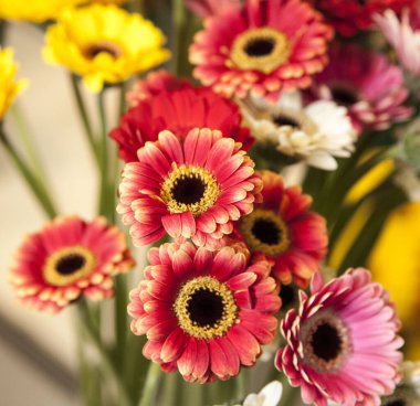 Bir buket gerber. Sarı ve kırmızı gerberalar..