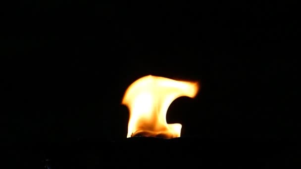 Flames on black background. — Stock Video