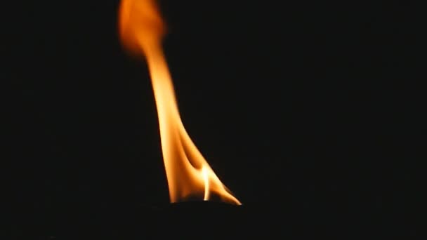 Flames on black background. — Stock Video