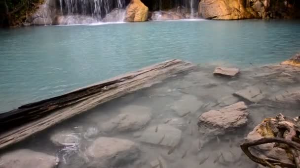 Cachoeira em fores profundos . — Vídeo de Stock