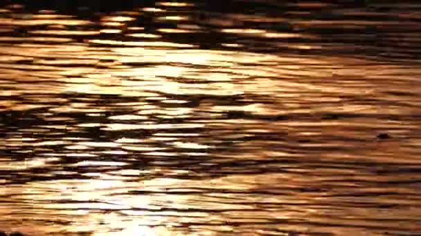 Movimiento de reflexión sobre el agua . — Vídeo de stock
