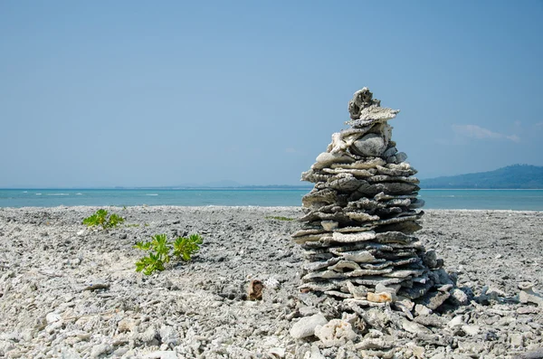 Hurda coral Beach — Stok fotoğraf