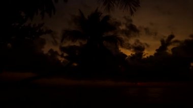 Hindistan cevizi sahilde silüeti.