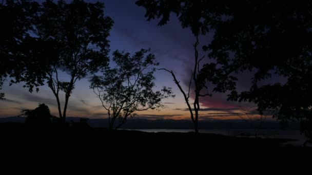 Tropischer Regenwald bei Sonnenaufgang. — Stockvideo