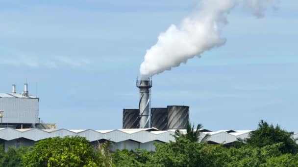 Fumo branco da fábrica sobre fundo azul céu . — Vídeo de Stock