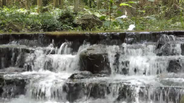 Resolution Waterfall Tropical Rain Forest — Stock Video