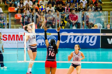 Voleybol Dünya grand prix 2014
