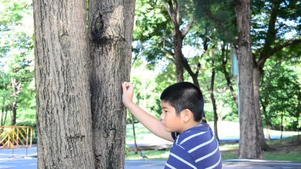 Niño alimentación ardilla en el día de verano . — Vídeos de Stock