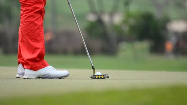 O golfista estava a pôr a bola no buraco. HD — Vídeo de Stock