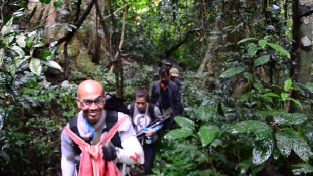 Skupina mladých přátel turistiky v deštném pralese. HD — Stock video