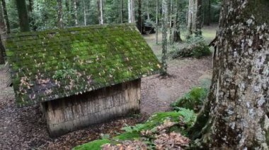 oude houten huis. HD