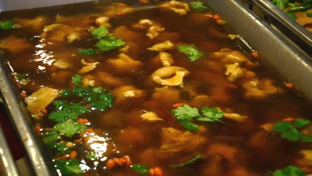 Pork Soup with Chinese spices. HD — Stock Video