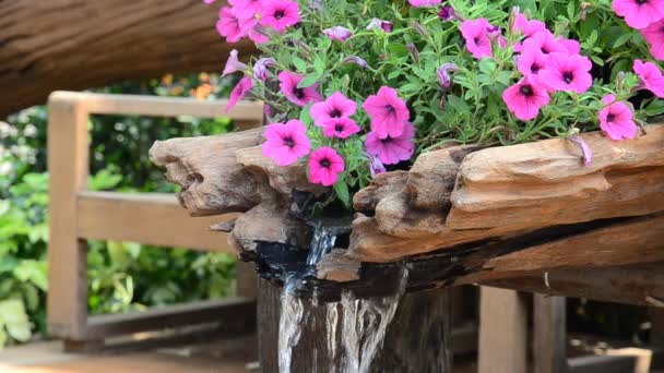 Flujo de agua y plantas. HD — Vídeos de Stock