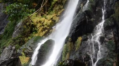 şelale derin orman, saraburi, thailand.