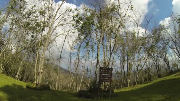 Landskapet i skogen med rörliga moln. — Stockvideo