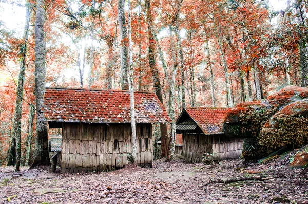 Casa de madera — Foto de Stock