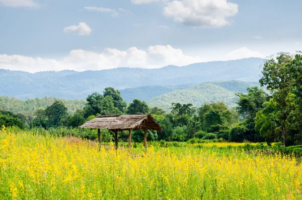 Cabañas tradicionales de Tailandia . — Foto de Stock