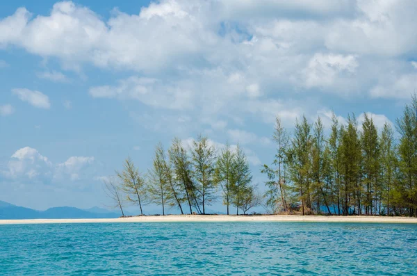 Tropical beach. . — Stock Photo, Image