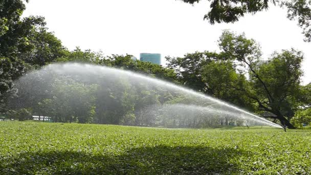 Aspersor de jardín . — Vídeos de Stock