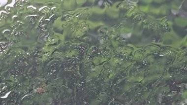 Ön cama yağmur damlıyor. Doğa arka plan ve el yapımı çekim.