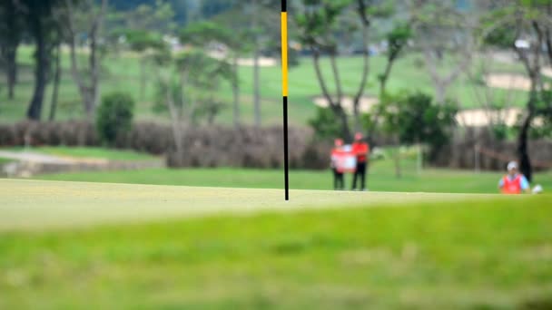 Pitch pelota de golf . — Vídeos de Stock