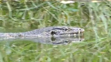 Su monitör suda hareket ediyor.