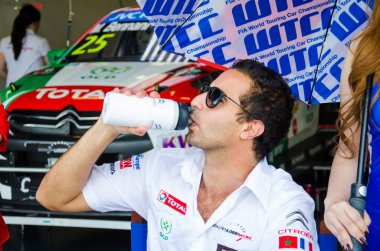 2015 FIA World Touring Car Championship