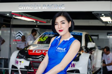 2015 FIA World Touring Car Championship