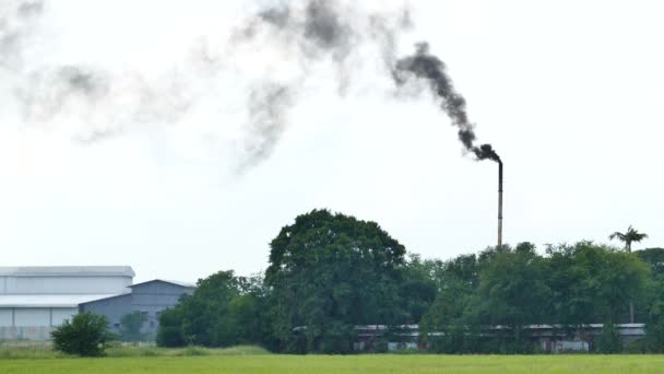 Contaminación atmosférica del humo . — Vídeo de stock