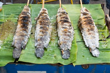 Çizgili yılanbaşı balık ızgara.