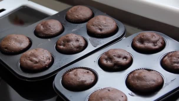 Csokis Muffin Házi Készítésű Pite Házi Sajtos Ragu Házi Készítésű — Stock videók