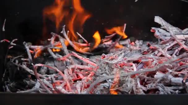 Brûler Des Charbons Dans Gril Brûler Bois Préparation Barbecue — Video