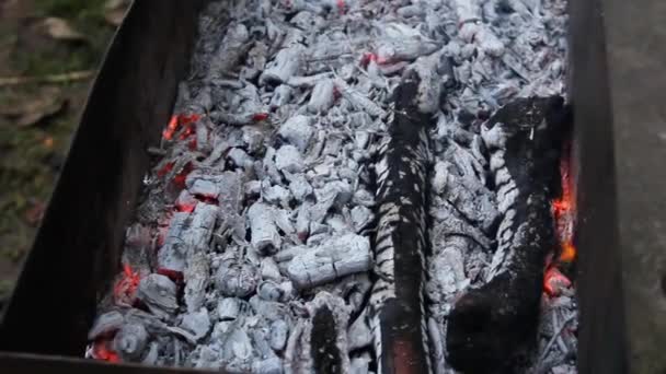 Brûler Des Charbons Dans Gril Brûler Bois Préparation Barbecue — Video