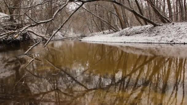 Incrivelmente Bela Natureza Inverno Maravilhosa Floresta Inverno Rio Floresta Inverno — Vídeo de Stock