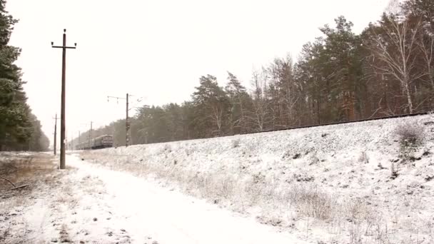 Train Voyage Dans Forêt Hiver Chemin Fer Dans Forêt — Video