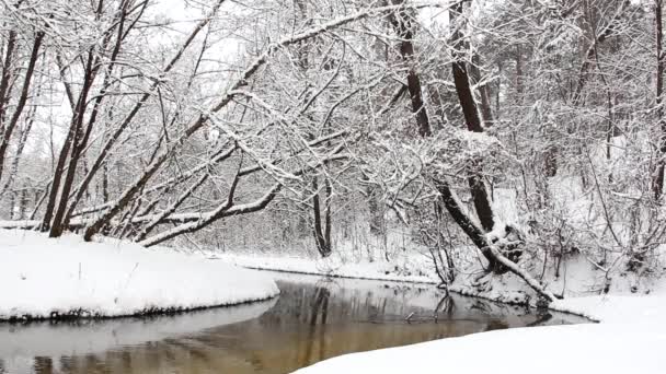 Incrivelmente Bela Natureza Inverno Maravilhosa Floresta Inverno Rio Floresta Inverno — Vídeo de Stock