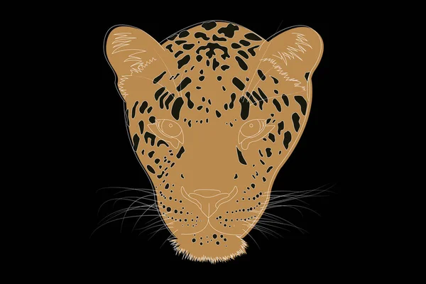 Desenho Leopardo Cara Cheia Cabeça Leopardo Desenho Linear Simples Leopardo —  Vetores de Stock