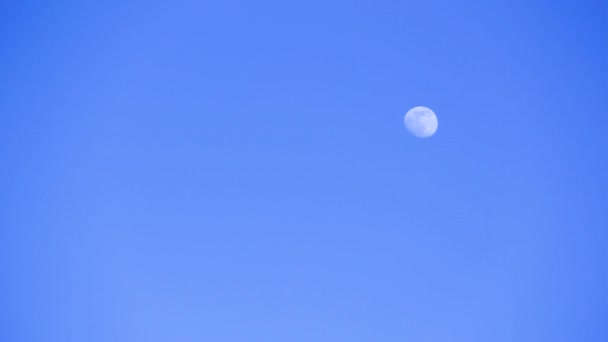 Lua Azul Céu Diurno Lua Meio Dia — Vídeo de Stock