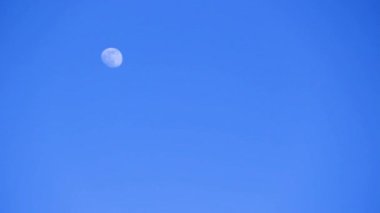 Gündüz vakti gökyüzünde mavi ay. Öğlen ay ışığı