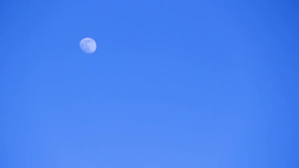 Lua Azul Céu Diurno Lua Meio Dia — Vídeo de Stock