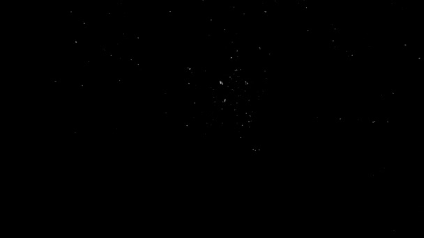 White Shimmer Black Background Shining Background — Stockvideo