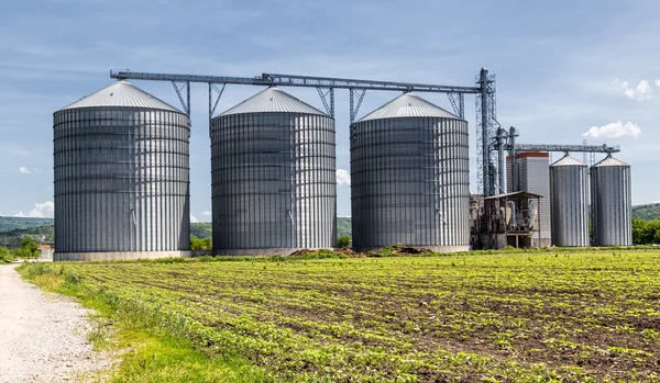青い空に穀物貯蔵用サイロ ロイヤリティフリーのストック画像