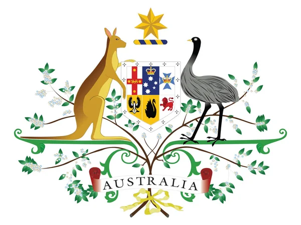 Complejo Vector Detallado Ilustración Del Escudo Armas Australia — Vector de stock