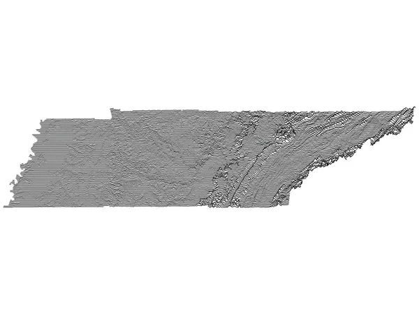 Topografiska Relieftoppar Och Dalar Karta Över Den Amerikanska Delstaten Tennessee — Stock vektor