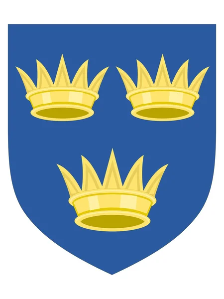 Wapenschild Van Ierse Provincie Munster — Stockvector