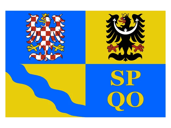 Vlag Van Tsjechische Regio Olomouc — Stockvector