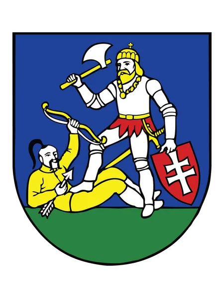 Flat Coat Arms Van Slowaakse Regio Kraj Nitra — Stockvector