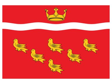 Doğu Sussex 'in İngiliz Törensel İlçesi Düz Vektör Bayrağı