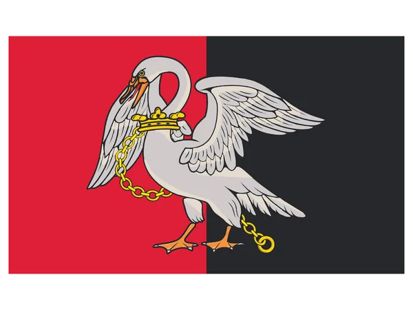 Buckinghamshire Angol Ünnepélyes Megye Lapos Vektoros Zászlója — Stock Vector